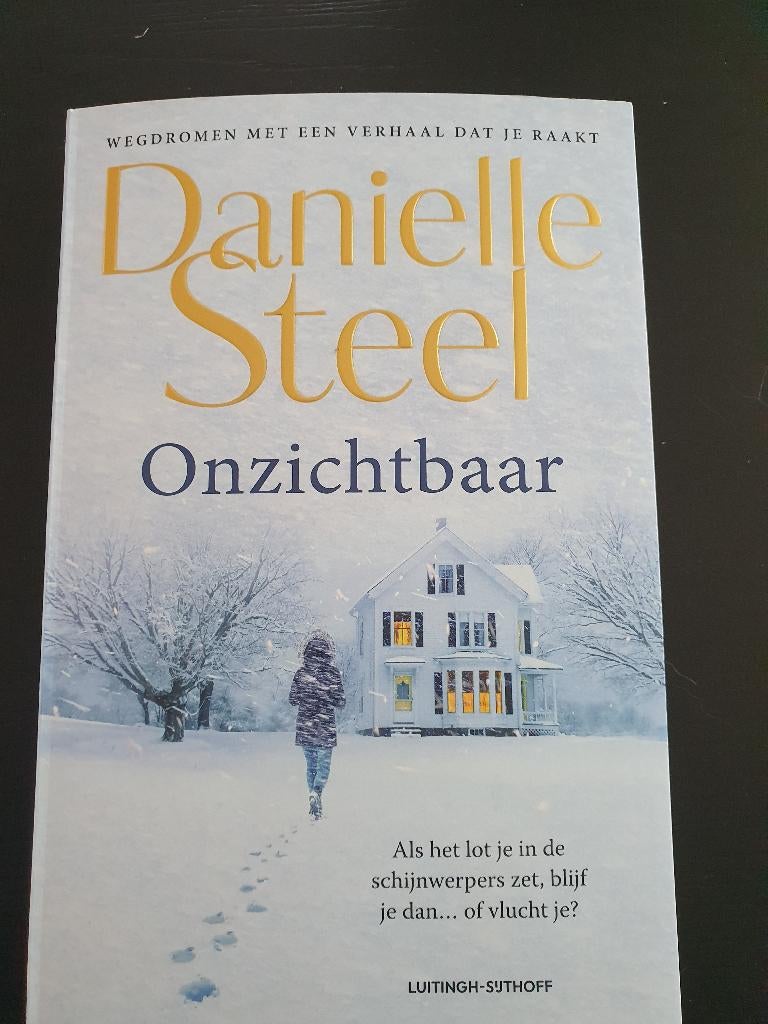 Onzichtbaar: Roman van Danielle steel, Enlèvement ou Envoi, Utilisé, Danielle Steel