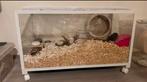 Goede nieuwe Hamsterkooi, Enlèvement ou Envoi, 75 à 110 cm, Cage, Comme neuf
