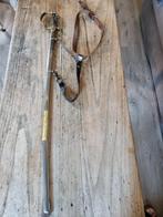 Sabre à tête de lion pour officier, Collections, Enlèvement