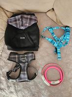 Honden artikelen kleine hond, Enlèvement