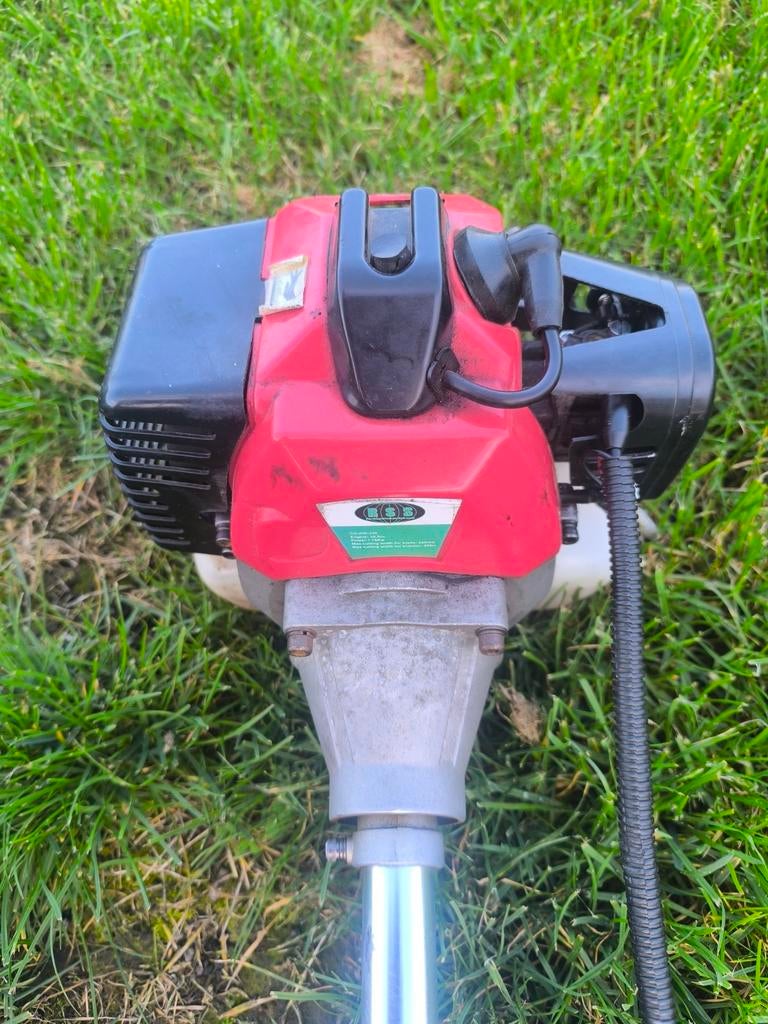 Bosmaaier, Tuin en Terras, Ophalen