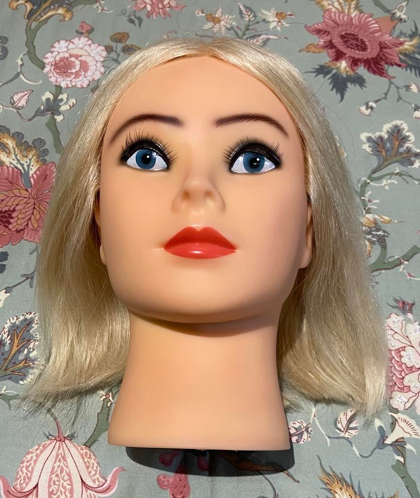 Professioneel oefenhoofd, Hobby en Vrije tijd, Cursusmateriaal, Gebruikt, Overige typen, Ophalen