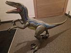 Velocoraptor (blue ), Ophalen