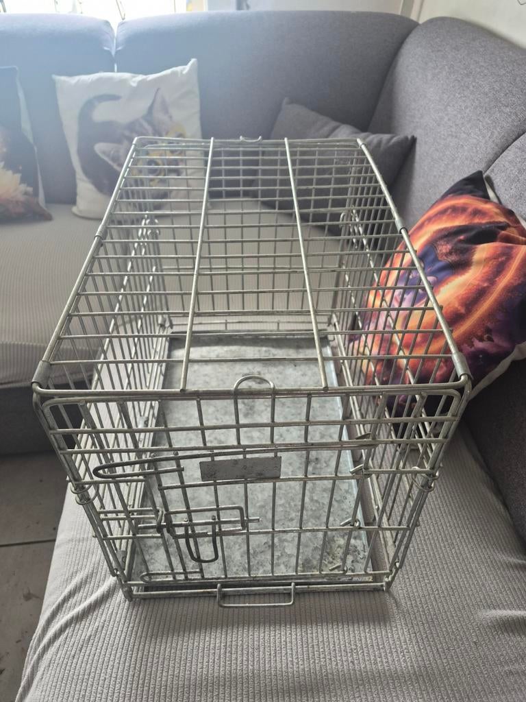 Kleine bench, Enlèvement