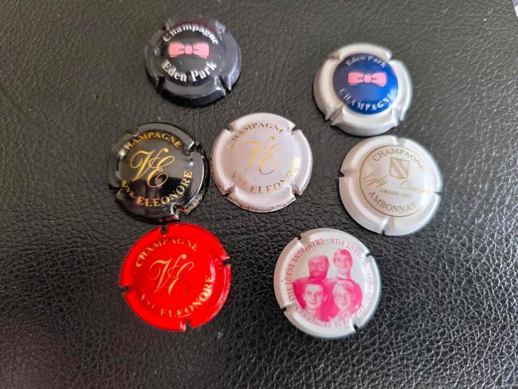 7 capsules de champagne commençant par la lettre E, Bijoux, Sacs & Beauté, Piercings, Enlèvement ou Envoi