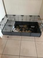 Cage lapin 140/70, Enlèvement, Comme neuf, Cage, Lapin