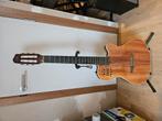 godin multiac ACS SA Nylon, Muziek en Instrumenten, Ophalen, Gebruikt, Overige typen