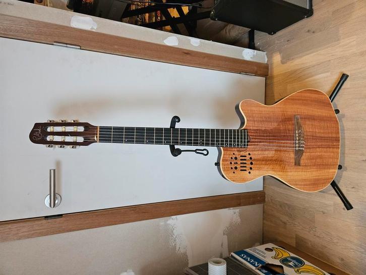 godin multiac ACS SA Nylon, Muziek en Instrumenten, Snaarinstrumenten | Gitaren | Akoestisch, Gebruikt, Overige typen, Ophalen