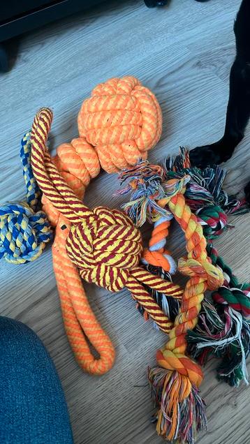 Hundespielzeug - gratis beschikbaar voor biedingen
