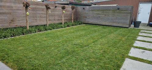 Tuin en kluswerken, Diensten en Vakmensen, Tuinmannen en Stratenmakers, Tuin- of Vijveraanleg, Tuinonderhoud of Snoeiwerk, Tuinontwerp