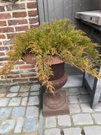 Gietijzere tuinvazen 2 stuks, Tuin en Terras, Tuinvazen, Ophalen