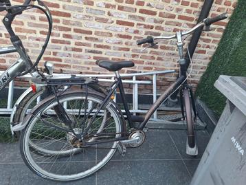 Gazelle  beschikbaar voor biedingen