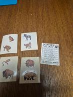 Panini wwf, Collections, Enlèvement