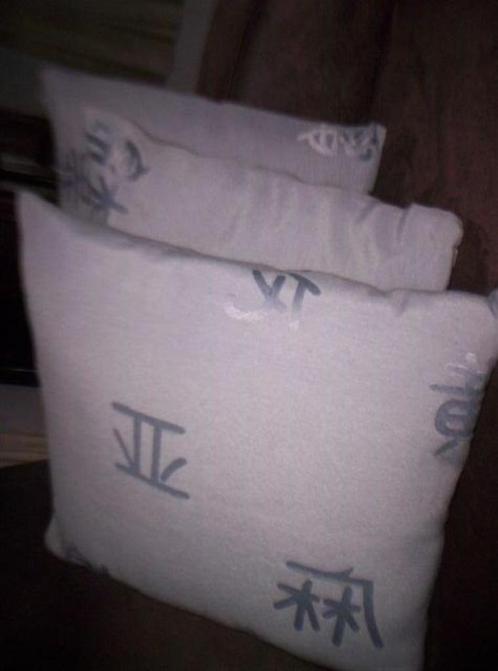3 decoratieve kussens , zonder / of mét vulling , 40/40cm, Caravans en Kamperen, Mobilhome-accessoires, Zo goed als nieuw, Ophalen of Verzenden