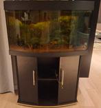 Juwel Aquarium, Dieren en Toebehoren, Ophalen