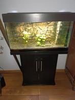 Aquarium Juwel Rio 125, Dieren en Toebehoren, Ophalen, Gebruikt, Leeg aquarium