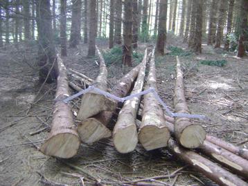 Perches en bois camps de scouts ou autres usages, Enlèvement ou Envoi, Neuf, Bricolage