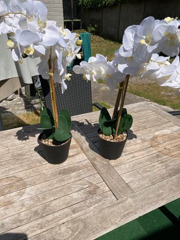 Kunstmatige orchideen, Ophalen, Zo goed als nieuw
