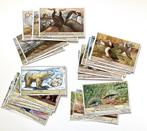 Liebig chromo’s : 4 setjes thema fauna, Boeken, Prentenboeken en Plaatjesalbums, Ophalen of Verzenden, Zo goed als nieuw