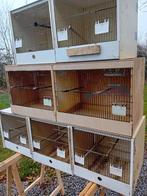 Kunststof kweekkooien, Enlèvement, Synthétique