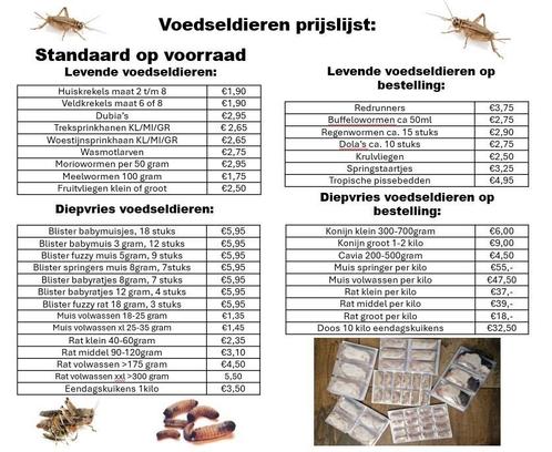 Voedseldieren Hoogerheide ook diepvriesmuizen etc, Dieren en Toebehoren, Reptielen en Amfibieën | Toebehoren, Zo goed als nieuw