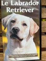 VHS Le Labrador Retriever, Alle leeftijden, Ophalen of Verzenden, Zo goed als nieuw, Overige genres