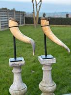 Taxidermie horens op statief, Antiek en Kunst, Ophalen of Verzenden