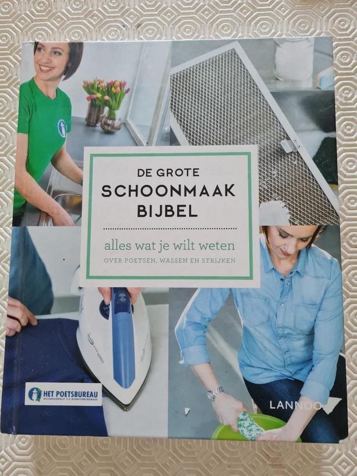 De grote schoonmaakbijbel- tips van Liesbeth van poetsbureau, Boeken, Advies, Hulp en Training, Ophalen of Verzenden
