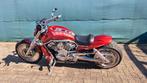 Harley Davidson V rod, Motoren, Particulier