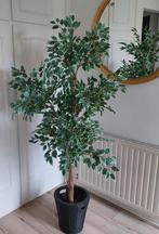 Kunstplant Ficus Benjamina, 1,65m hoog, inclusief plantenpot, Ophalen, Zo goed als nieuw, Binnen