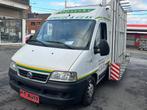 FIAT DUCATO 2.8 jtd/utilitaire/PORTE VITRE chasis !!!, 94 kW, Achat, 4 portes, Entreprise
