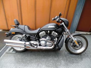 v-rod nightrod 1130cm3 2006 12194km 120cv garantie 1.2.3ans  beschikbaar voor biedingen