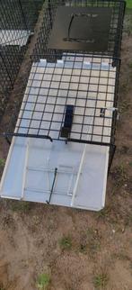 DUIVENVAL, Ophalen of Verzenden