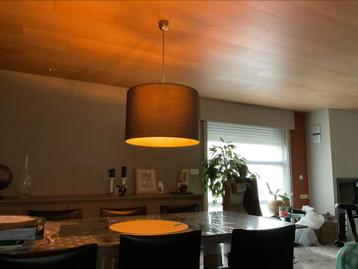 lampe suspendue, Enlèvement, Comme neuf