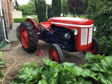 Tractor Ferguson TE20 P3 Diesel, Opknapper., Zakelijke goederen, Landbouw | Tractoren, Ophalen, Oldtimer, Tot 80 Pk, Massey Ferguson
