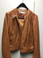 Echt leren jack van het merk Naf Naf in zeer goede staat, Kleding | Dames, Ophalen, Bruin, Maat 42/44 (L), Zo goed als nieuw