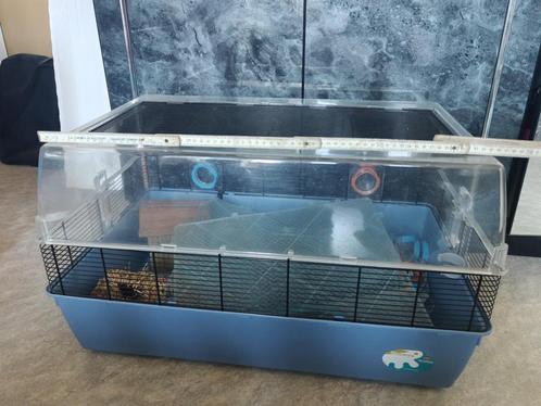 Hamsterkooien (3) en toebehoren, Dieren en Toebehoren, Knaagdieren en Konijnen | Hokken en Kooien, Gebruikt, Kooi, Hamster, Muis