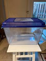 Quarantaine visbak, Dieren en Toebehoren, Vissen | Aquaria en Toebehoren, Ophalen, Zo goed als nieuw, Leeg aquarium