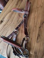 Bitloos leren side pull hoofdstel maat cob, Ophalen of Verzenden, Zo goed als nieuw, Overige soorten