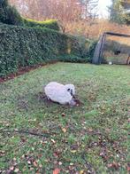 Betonnen schaap Tuin Afhalen Genk, Tuin en Terras, Tuinbeelden, Ophalen