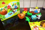 DUPLO Bos Eenden - 10581*VOLLEDIG*PRIMA STAAT*, Ophalen of Verzenden, Complete set, Duplo