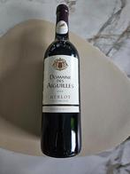 Fles Domaine des Aiguilles - Merlot 2008, Frankrijk, Nieuw, Ophalen of Verzenden, Rode wijn