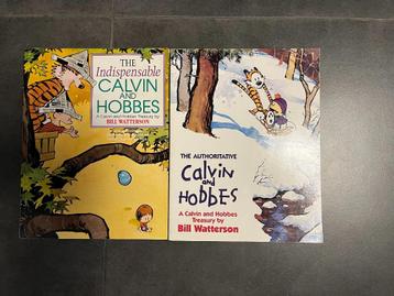 Calvin and Hobbes