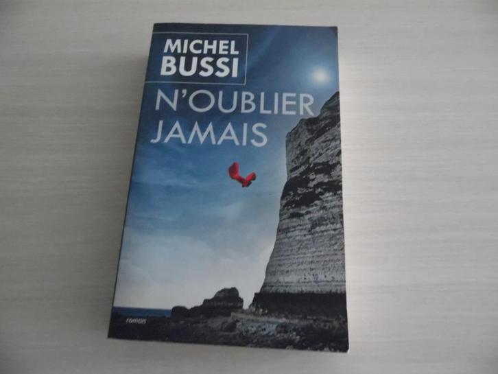 N'OUBLIER JAMAIS      MICHEL BUSSI, Boeken, Romans, Zo goed als nieuw, Europa overig, Ophalen of Verzenden