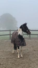 Hele lieve en brave recreatie merrie, Dieren en Toebehoren