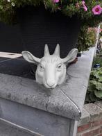 Mooie betonnen geitenkop, Tuin en Terras, Tuinbeelden, Ophalen, Zo goed als nieuw