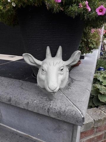Belle tête de chèvre en béton, Enlèvement, Comme neuf