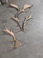 Damhert geweien, Enlèvement, Utilisé