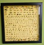 kunstvliegen, Ophalen of Verzenden, Nieuw