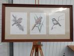 4 frames met vogelprints, Ophalen